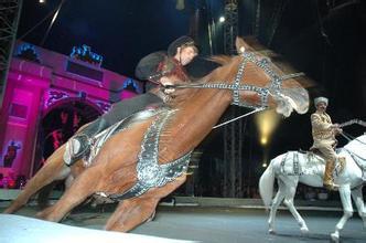 艺海马戏团主营:广州杂技表演,广州马戏表演,广州动物表演,广州驯兽表演,广州马戏杂技,想看精彩的马戏表演,就选艺海马戏团,为您打造全新的、独一无二的企业文化演出。等产品介绍_报价_批发_供应信息【第2页】 - 安徽省宿州市埇桥区艺海马戏团 - 嘻嘻哈哈分类信息