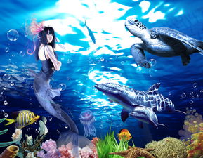 北京富国海底世界双节特惠海狮门票北京富国海底世界门票团购 特价特卖 旅游打折 驴妈妈旅游团购