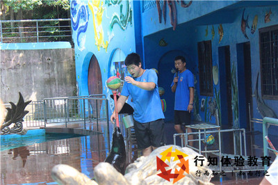 常州中宏2018百草园欢乐拓展(补)