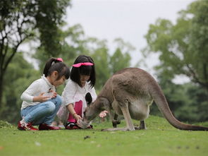上海野生动物园