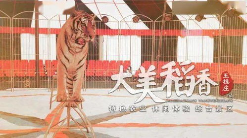 福利 10张公园门票免费送,还不赶快来抢