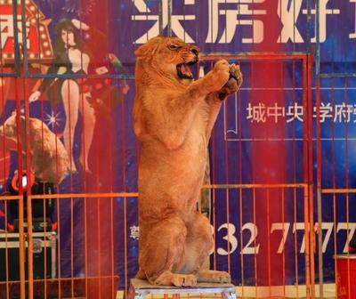 临颍:五一小长假,这里人来人往,热闹非凡