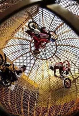 大型马戏杂技表演团出租费用