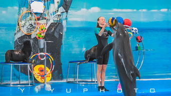 遇见普吉,遇见我们的甜蜜小时光