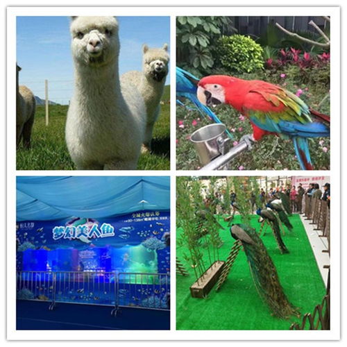 图们市海洋生物展出租租赁费用