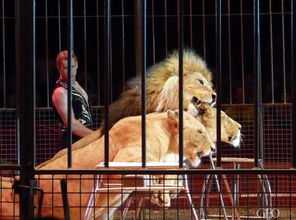 狼图腾 的狼,到底能驯不能驯