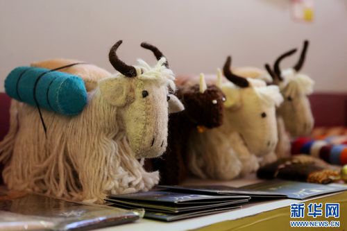 好物上新 青海玉树70余种优质特色农畜产品齐聚西宁