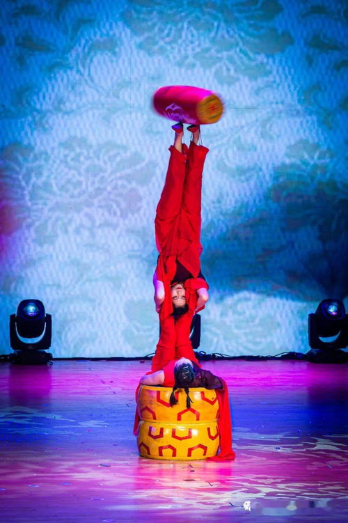 第三届深圳国际魔术节开幕式暨深圳市杂技家协会精品汇报展演在深举行