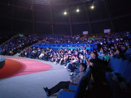 东北庄景区游客爆棚,迎来新年旅游开门红