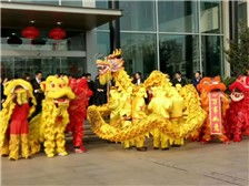 上海 醒狮堂 专业舞龙舞狮表演团队产品展示