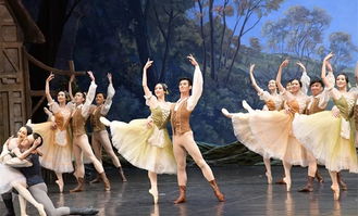 拉紧中朝友谊的文化纽带 记中国艺术团访问朝鲜之行