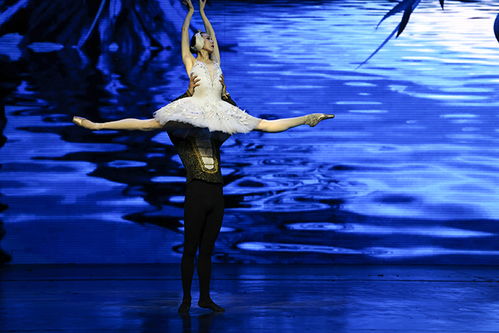 兰州芭蕾舞团惠民演出 舞蹈精品晚会