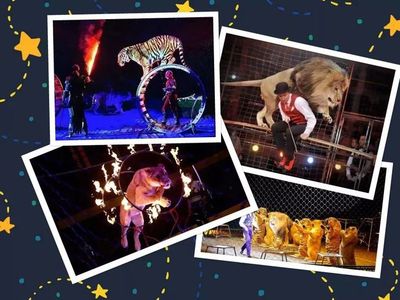 2021皇家大马戏空降香河!杂技、魔术、驯兽、逛夜市,玩游乐,吃美食,看马戏!