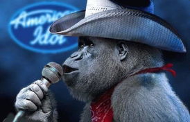 辽宁 小额公司挺进农村