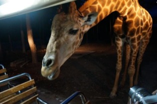 泰国除了人妖,还有什么