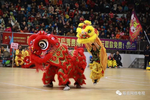 藤县群狮贺新春高朋满座