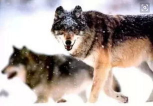 制度管人,流程管事,团队打天下,管理定江山 好文 其它 网