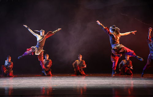 兰州芭蕾舞团惠民演出 舞蹈精品晚会