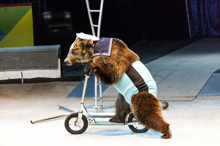 驯兽师,熊骑自行车.马戏团表演