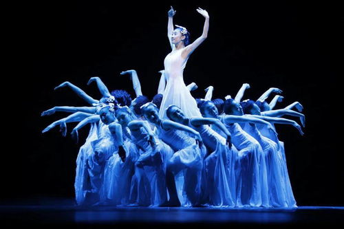 中国残疾人艺术团“我的梦”公益演出携手驯兽表演团温暖吉安