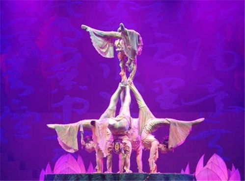 大型多媒体舞台剧《绝技秀之蜀国英雄》驯兽表演团 融合传统与科技的视听盛宴