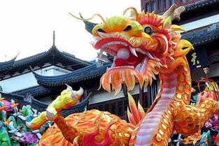 灯光节活动策划布展安装生产制作与驯兽表演团的融合