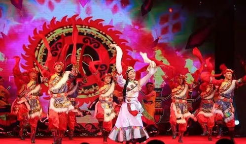 快乐飞翔 放飞梦想——云之南少儿艺术团驯兽表演团展演侧记