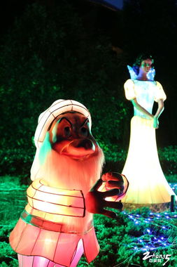 亲子游好去处 武进淹城动物园贴心服务与精彩巡演全纪录