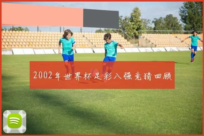 2002年世界杯足彩八强竞猜回顾