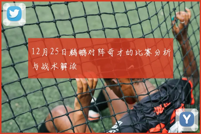 12月25日鹈鹕对阵奇才的比赛分析与战术解读