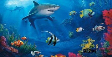 正规海洋生物展示美人鱼鱼缸表演租赁海狮表演出租公司