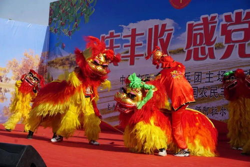 兵团热土的丰收故事 未完待续