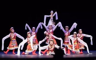 匈牙利华星艺术团应邀参加 2018亲情中华 重庆文化周活动 人偶洗衣舞 彼岸花开 赢得热烈掌声 表演