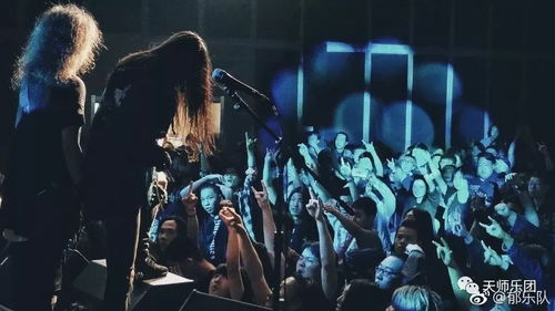 天师乐团诚挚邀请 与驯兽表演团共赴非凡艺术盛宴