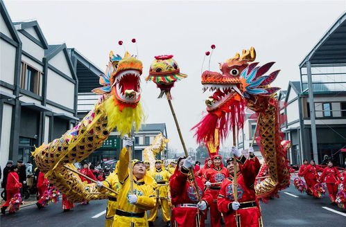 欢天喜地迎新春 驯兽表演团点亮节日欢愉